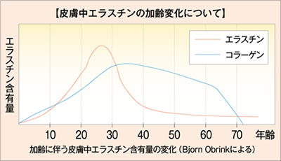 皮膚中エラスチンの加齢変化について